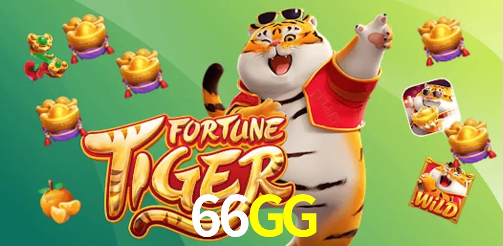 Experiência VIP 66GG